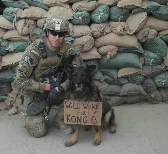 Donate a Kong Toy!